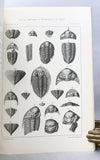 Monographias do Servico Geologico e Mineralogico do Brasil, Volume I: Fosseis Devonianos do Parana