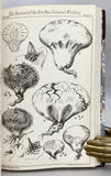 The Mycologic Flora of the Miami Valley, Ohio, in 10 parts, complete
