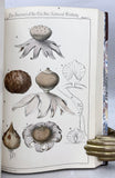 The Mycologic Flora of the Miami Valley, Ohio, in 10 parts, complete