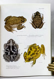 Guide to the Reptiles and Amphibians of the Savannah River Site