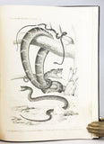 Batrachia and Reptilia of Costa Rica with Notes on the Herpetology and Ichthyology of Nicaragua and Peru