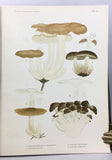 Flora Agaricina Danica, Vol. I-V complete, bound in two volumes, with 200 fine chromolithographs