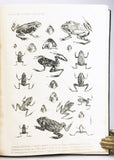 Batrachia and Reptilia of Costa Rica with Notes on the Herpetology and Ichthyology of Nicaragua and Peru