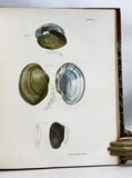 Natural History of New York. Zoology of New-York, or the New-York fauna; comprising detailed descriptions of all the animals hitherto observed within the State of New-York, Part V: Mollusca + Part VI: Crustacea (with 53 hand-colored plates)