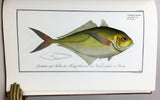 Allgemeine Naturgeschichte der Fische: I. Naturgeschichte der ausländischen Fische, 9 parts in 4 volumes (text) + II. Oeconomische Naturgeschichte der Fische Deutschlands, with 432 fine color plates in 2 volumes (plates)