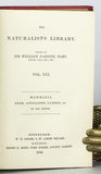 Mammalia: Deer, Antelopes, Camels, etc. + Mammalia: Goats, Sheep and Oxen, etc. (The Naturalist’s Library, volumes XXI + XXII), in 2 volumes, complete