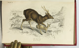 Mammalia: Deer, Antelopes, Camels, etc. + Mammalia: Goats, Sheep and Oxen, etc. (The Naturalist’s Library, volumes XXI + XXII), in 2 volumes, complete