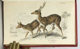 Mammalia: Deer, Antelopes, Camels, etc. + Mammalia: Goats, Sheep and Oxen, etc. (The Naturalist’s Library, volumes XXI + XXII), in 2 volumes, complete
