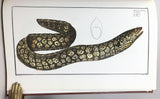 Allgemeine Naturgeschichte der Fische: I. Naturgeschichte der ausländischen Fische, 9 parts in 4 volumes (text) + II. Oeconomische Naturgeschichte der Fische Deutschlands, with 432 fine color plates in 2 volumes (plates)