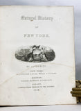 Natural History of New York. Zoology of New-York, or the New-York fauna; comprising detailed descriptions of all the animals hitherto observed within the State of New-York, Part V: Mollusca + Part VI: Crustacea (with 53 hand-colored plates)