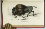 Mammalia: Deer, Antelopes, Camels, etc. + Mammalia: Goats, Sheep and Oxen, etc. (The Naturalist’s Library, volumes XXI + XXII), in 2 volumes, complete