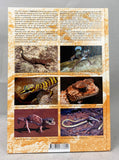 Geckos of Australia / Geckos Australiens
