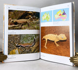 Geckos of Australia / Geckos Australiens