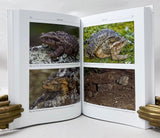 The Herpetofauna of Corfu and adjacent islands