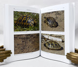 The Herpetofauna of Corfu and adjacent islands