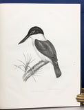 The Zoology of the Voyage of H.M.S. Erebus and Terror: The Birds of New Zealand