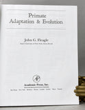 Primate Adaptation and Evolution (first edition)