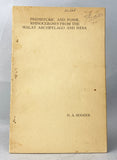 Prehistoric and fossil rhinoceroses from the Malay Archipelago and India