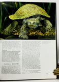 Australian Freshwater Turtles