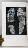 Prehistoric and fossil rhinoceroses from the Malay Archipelago and India