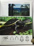Australian Freshwater Turtles