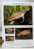 Freshwater Turtles of Australia