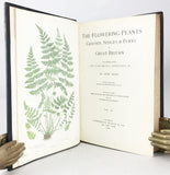 The Flowering Plants, Grasses, Sedges & Ferns of Great Britain and their allies the Club Mosses, Horsetails, in four volumes, complete