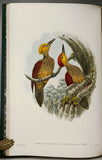 Asiatic Birds: Fifty-Four Specimens Selected from 'The Birds of Asia'