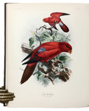 A Monograph of the Lories, or brush-tongued parrots, composing the family Loriidae