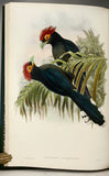 Asiatic Birds: Fifty-Four Specimens Selected from 'The Birds of Asia'