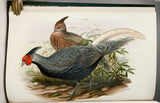 Asiatic Birds: Fifty-Four Specimens Selected from 'The Birds of Asia'