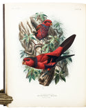 A Monograph of the Lories, or brush-tongued parrots, composing the family Loriidae