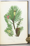 The Flowering Plants, Grasses, Sedges & Ferns of Great Britain and their allies the Club Mosses, Horsetails, in four volumes, complete