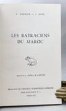 Les Batraciens du Maroc