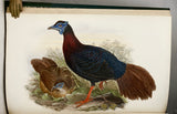 Asiatic Birds: Fifty-Four Specimens Selected from 'The Birds of Asia'