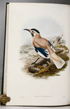 Asiatic Birds: Fifty-Four Specimens Selected from 'The Birds of Asia'