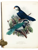 A Monograph of the Lories, or brush-tongued parrots, composing the family Loriidae