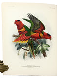 A Monograph of the Lories, or brush-tongued parrots, composing the family Loriidae