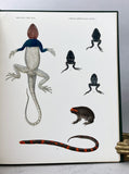 Four herpetological monographs from Memoirs of the Museum of Comparative Zoology
