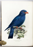 A Monograph of the Coraciidae, or the family of the Rollers