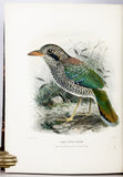A Monograph of the Coraciidae, or the family of the Rollers