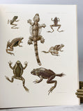 Four herpetological monographs from Memoirs of the Museum of Comparative Zoology