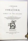 A Monograph of the Coraciidae, or the family of the Rollers