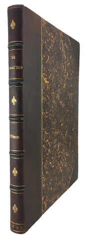 A Monograph of the Coraciidae, or the family of the Rollers
