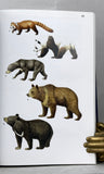 A Guide to the Mammals of China