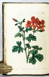 Geraniaceae: The natural order of Gerania. Illustrated by coloured figures and descriptions; comprising the numerous and beautiful mule-varieties cultivated in the gardens of Great Britain, with directions for their treatment, 5 volumes, complete.